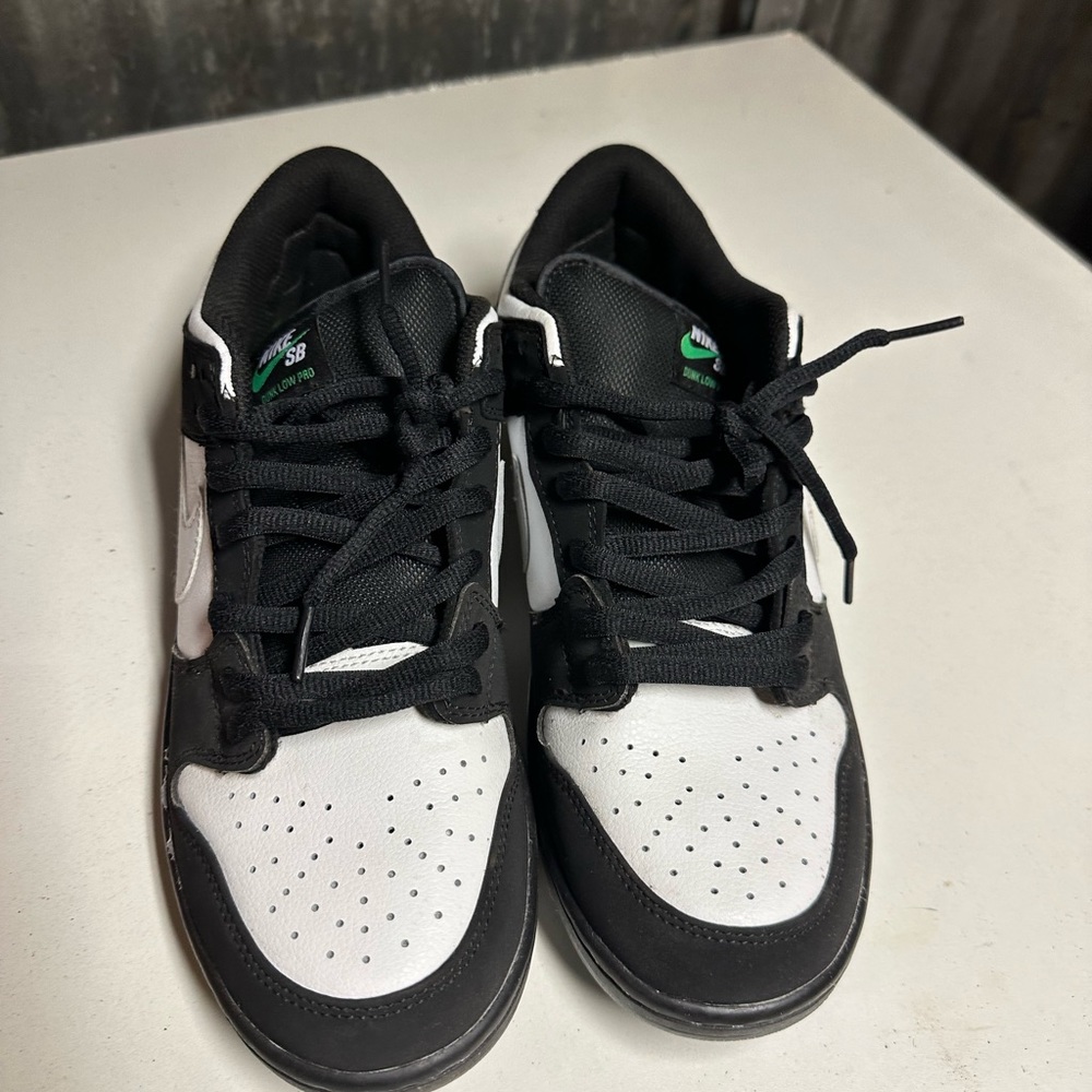 Pigeon Dunks - Picture 5 of 10